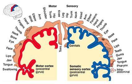 How we sense reality: illustration